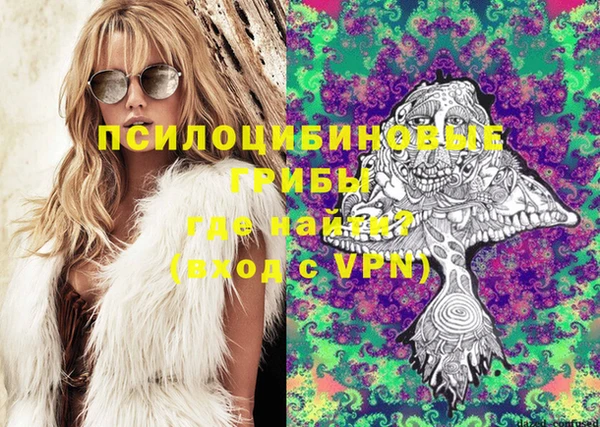 соль ск Тавда