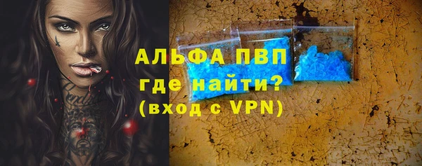 соль ск Тавда