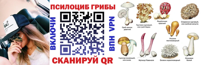 OMG онион наркотики Мончегорск Псилоцибиновые грибы ЛСД